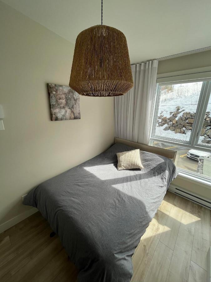 Le Riverain - Condo Neuf Au Bord De L'Eau Шауиниган Екстериор снимка